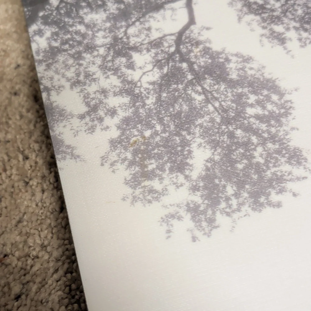 Tree of Life Black & White Photo 23.5 By 23.5 Stretched Canvas Art - Picture 5 of 10